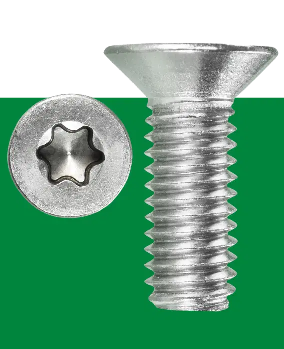 Self tapping Screws 